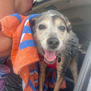 Meet your Posher, Brooklyn